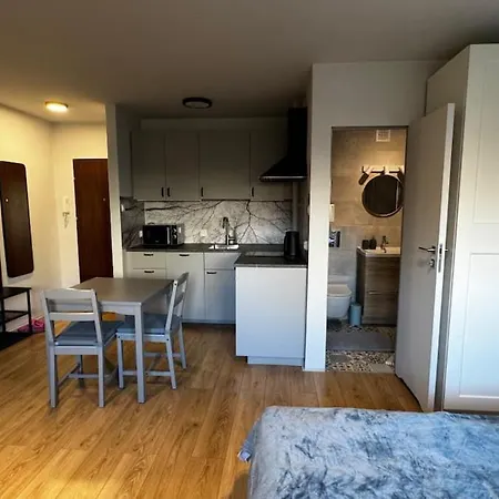 公寓 Nowoczesny Apartament Sky Tower Blisko Centrum 弗罗茨瓦夫